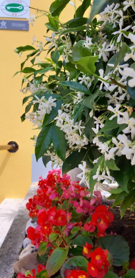 Mediterranean Concept House Hotel La Spezia Bagian luar foto